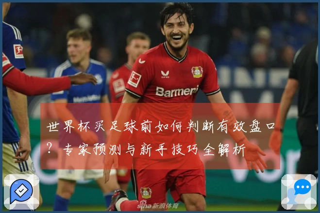 世界杯买足球前如何判断有效盘口?专家预测与新手技巧全解析