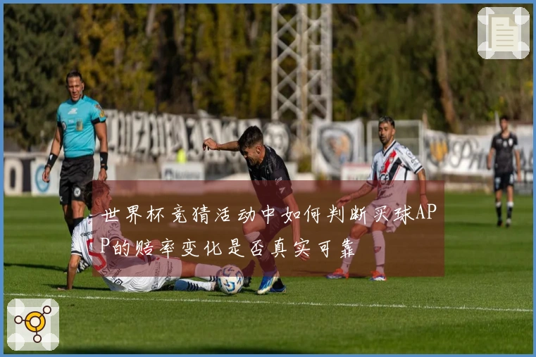 世界杯竞猜活动中如何判断买球APP的赔率变化是否真实可靠