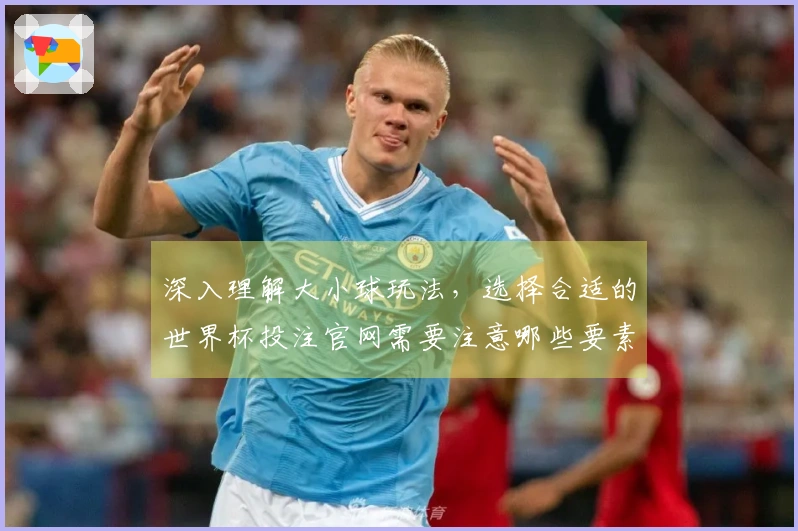 深入理解大小球玩法，选择合适的世界杯投注官网需要注意哪些要素
