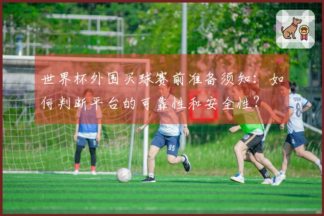 世界杯外围买球赛前准备须知：如何判断平台的可靠性和安全性？
