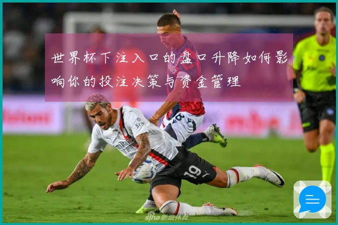 世界杯下注入口的盘口升降如何影响你的投注决策与资金管理