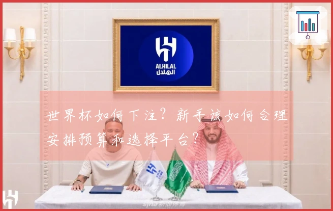 世界杯如何下注？新手该如何合理安排预算和选择平台？