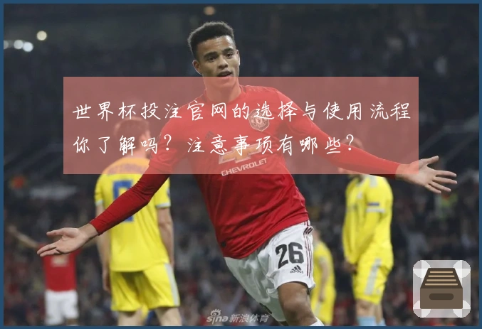 世界杯投注官网的选择与使用流程你了解吗？注意事项有哪些？