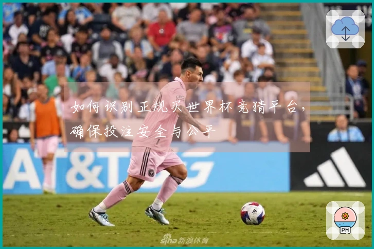 如何识别正规买世界杯竞猜平台,确保投注安全与公平