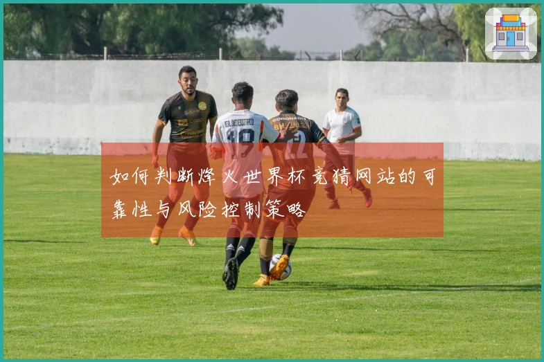 如何判断烽火世界杯竞猜网站的可靠性与风险控制策略