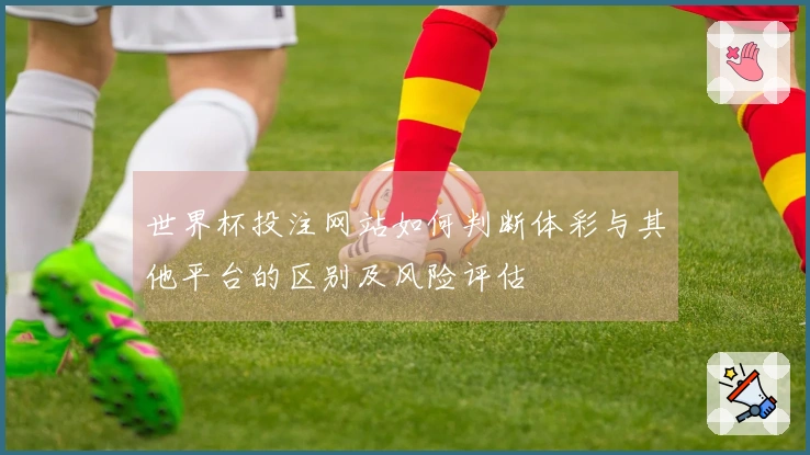 世界杯投注网站如何判断体彩与其他平台的区别及风险评估