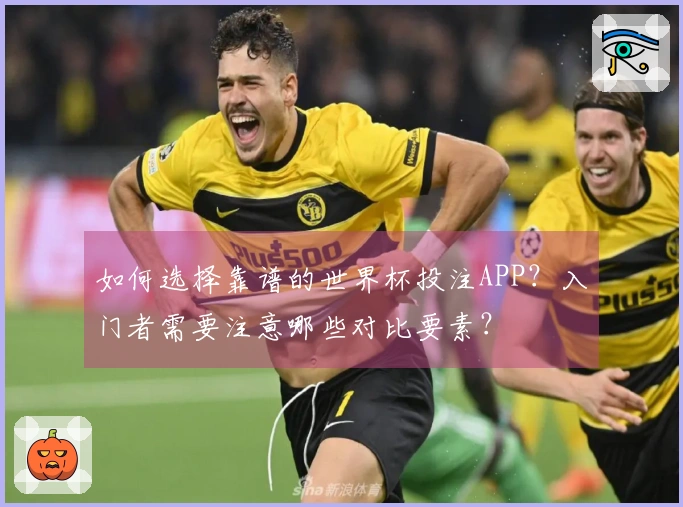 如何选择靠谱的世界杯投注APP？入门者需要注意哪些对比要素？