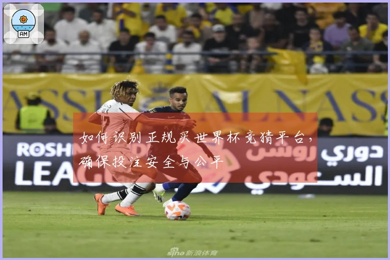 如何识别正规买世界杯竞猜平台，确保投注安全与公平