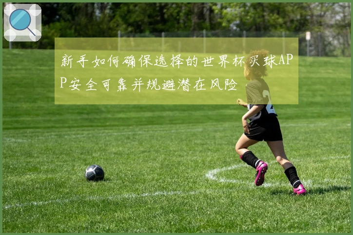新手如何确保选择的世界杯买球APP安全可靠并规避潜在风险