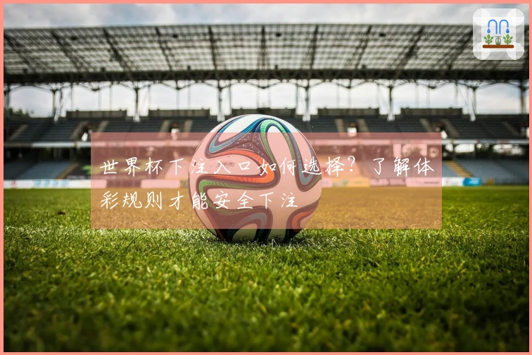 世界杯下注入口如何选择？了解体彩规则才能安全下注