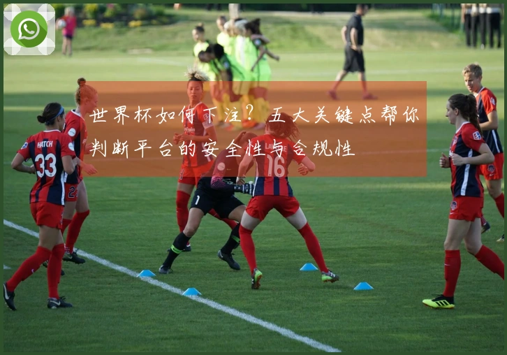 世界杯如何下注？五大关键点帮你判断平台的安全性与合规性