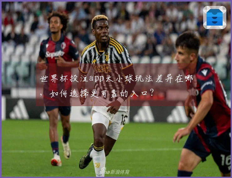 世界杯投注app大小球玩法差异在哪，如何选择更可靠的入口？
