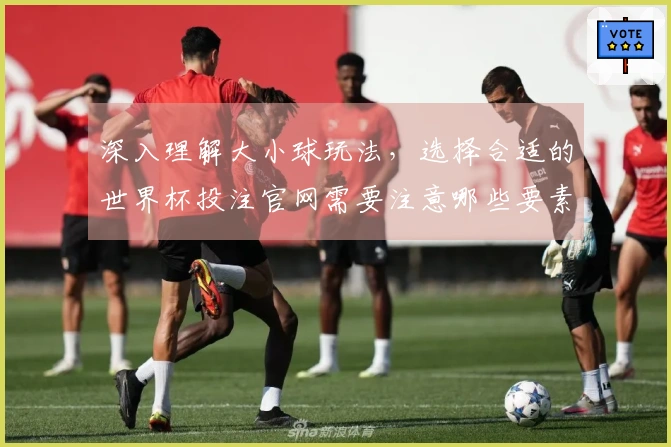 深入理解大小球玩法,选择合适的世界杯投注官网需要注意哪些要素