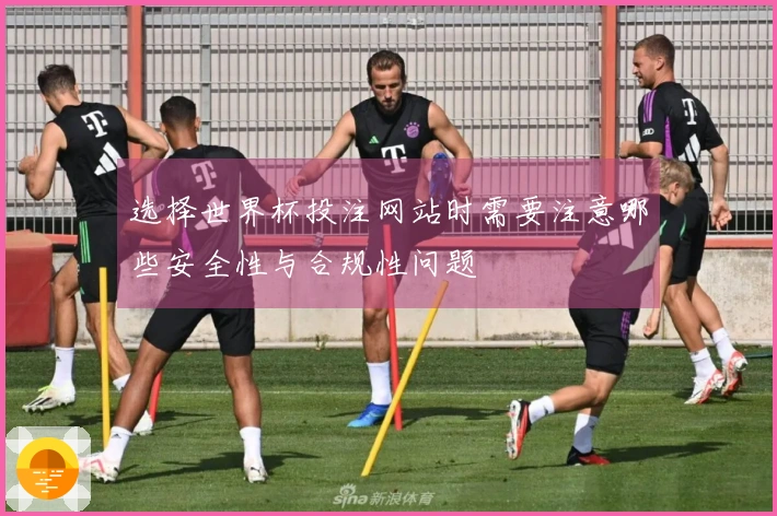 选择世界杯投注网站时需要注意哪些安全性与合规性问题
