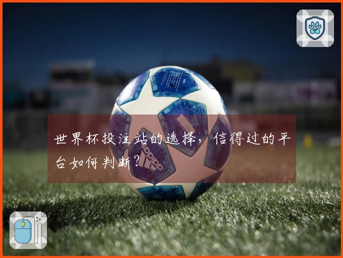 世界杯投注站的选择，信得过的平台如何判断？
