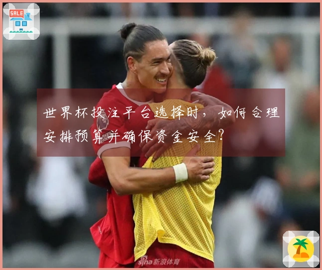 世界杯投注平台选择时，如何合理安排预算并确保资金安全？