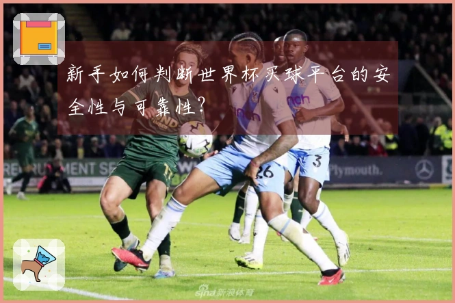 新手如何判断世界杯买球平台的安全性与可靠性？