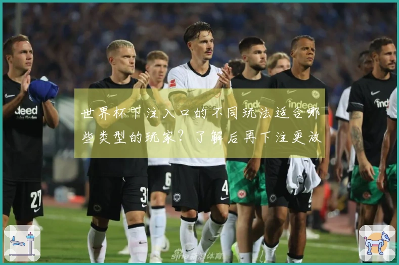 世界杯下注入口的不同玩法适合哪些类型的玩家？了解后再下注更放心