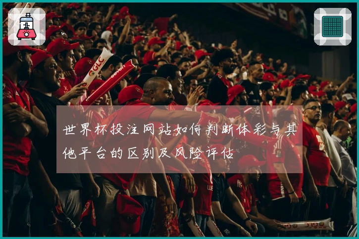 世界杯投注网站如何判断体彩与其他平台的区别及风险评估