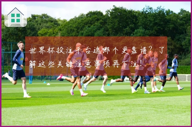 世界杯投注平台选哪个更靠谱?了解这些关键注意事项再下注!
