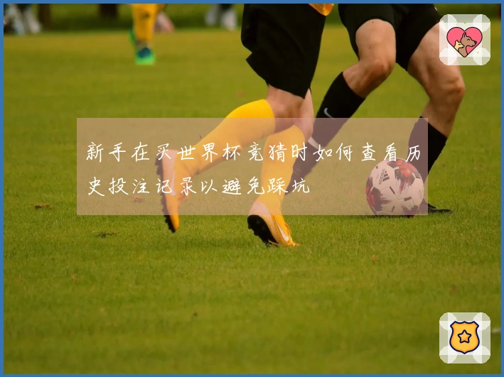 新手在买世界杯竞猜时如何查看历史投注记录以避免踩坑